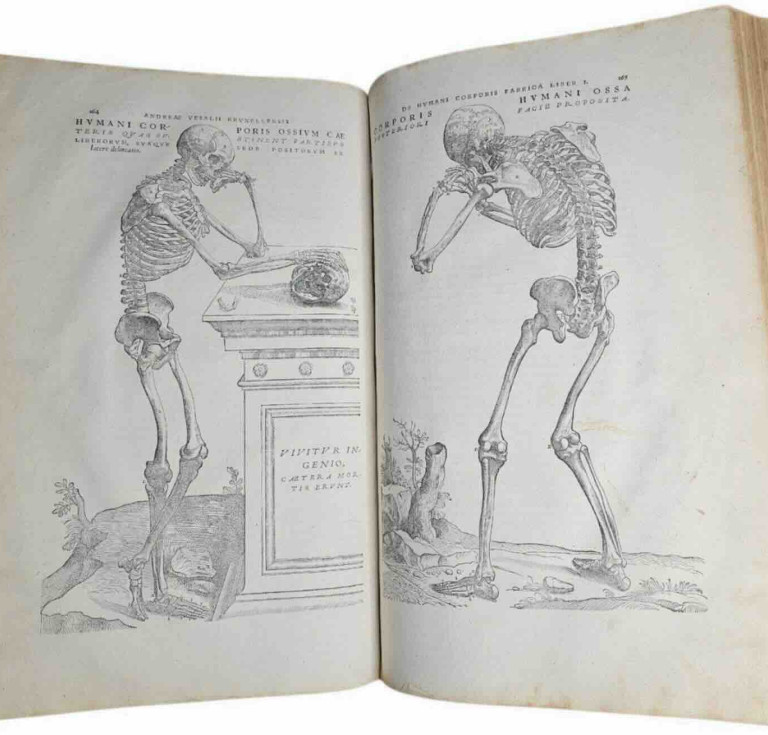 Andreas Vesalius’s De Humani Corporis Fabrica Libri Septem