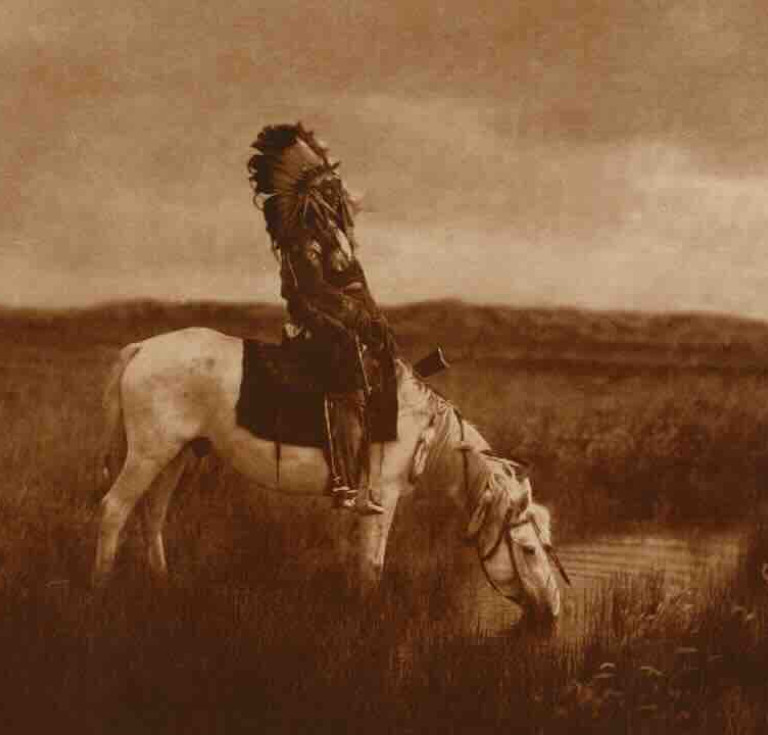 The North American Indian, Portfolios 1-20; and Volumes 1-20 by Edward S. Curtis